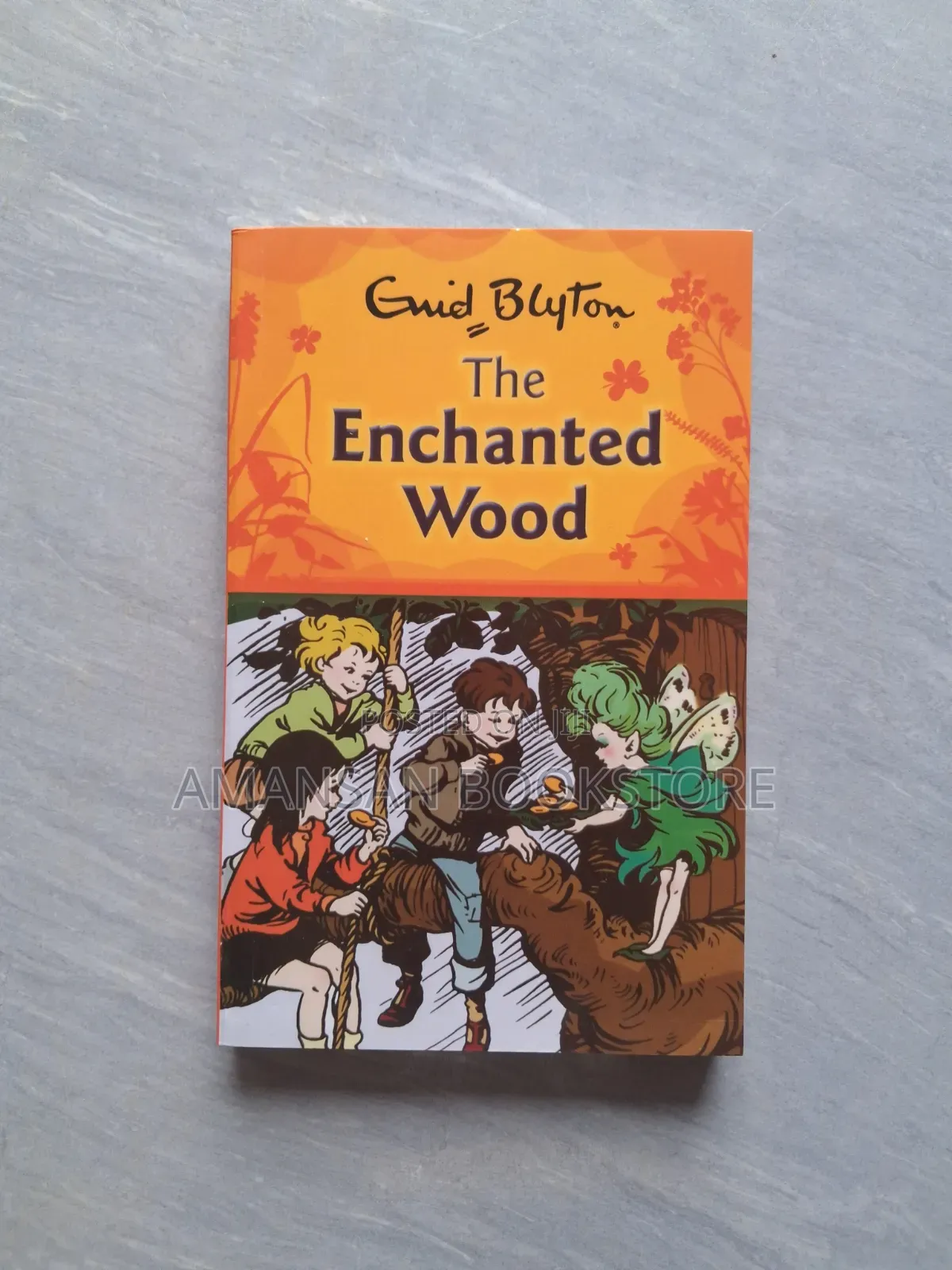 The Enchanted Wood