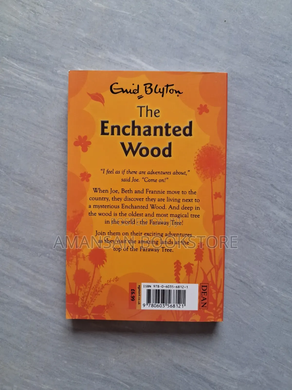 The Enchanted Wood