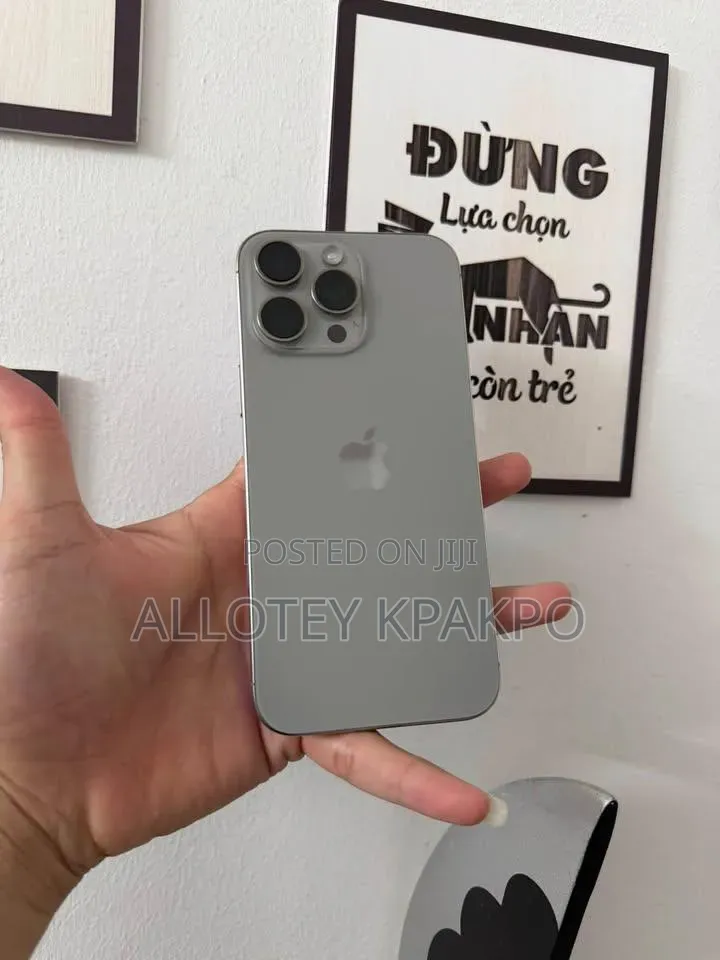 Apple iPhone 15 Pro Max 256 GB Silver