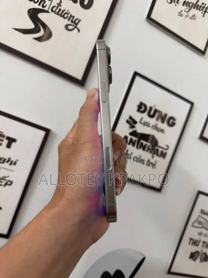 Apple iPhone 15 Pro Max 256 GB Silver