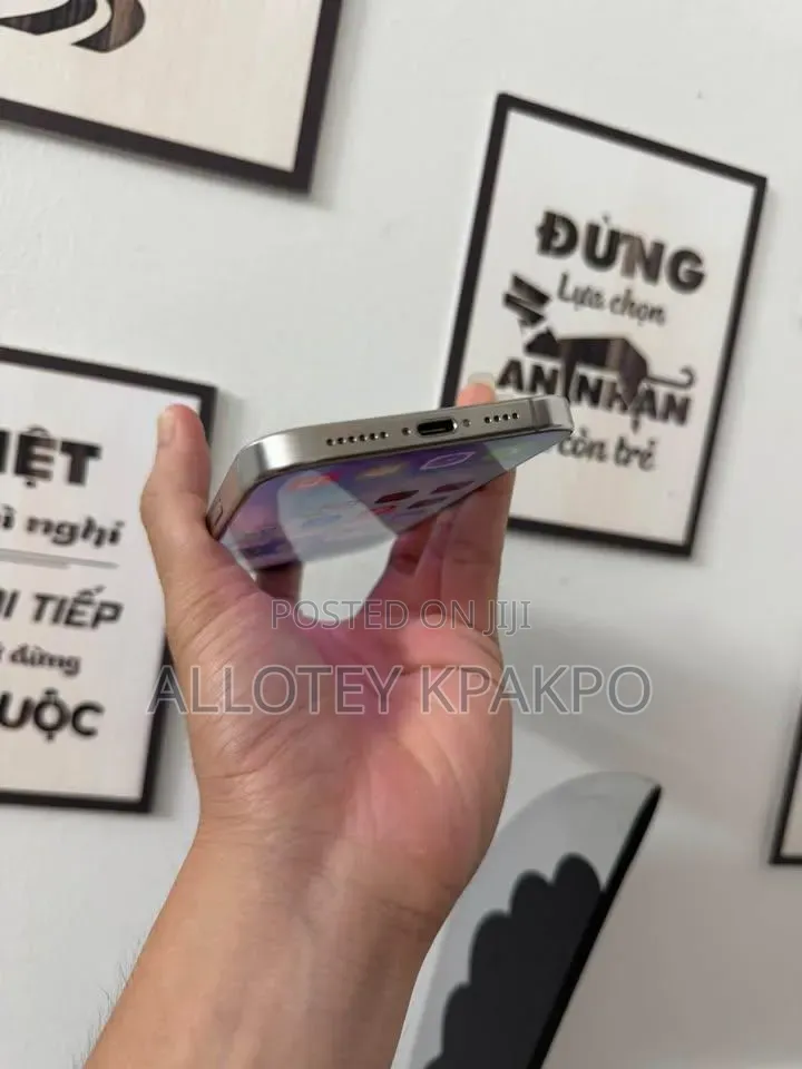 Apple iPhone 15 Pro Max 256 GB Silver