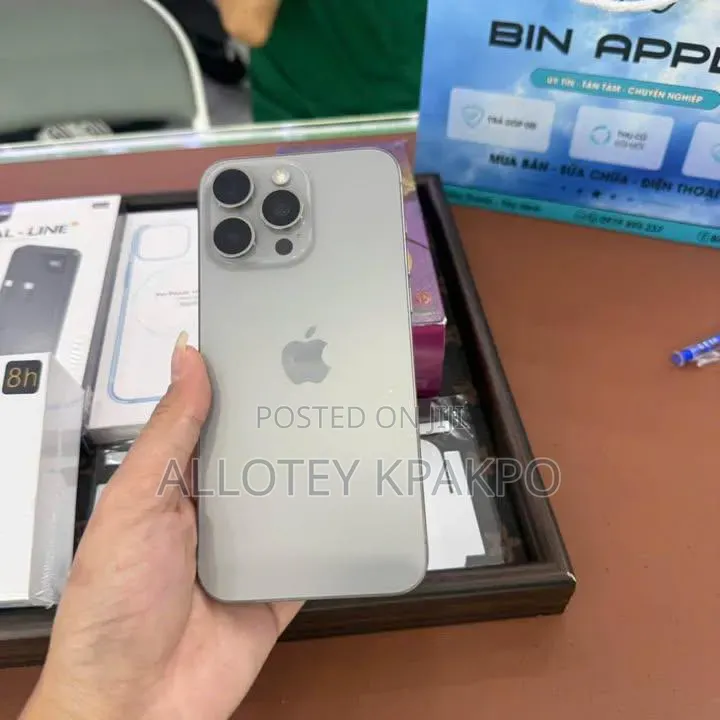 Apple iPhone 15 Pro Max 256 GB Silver