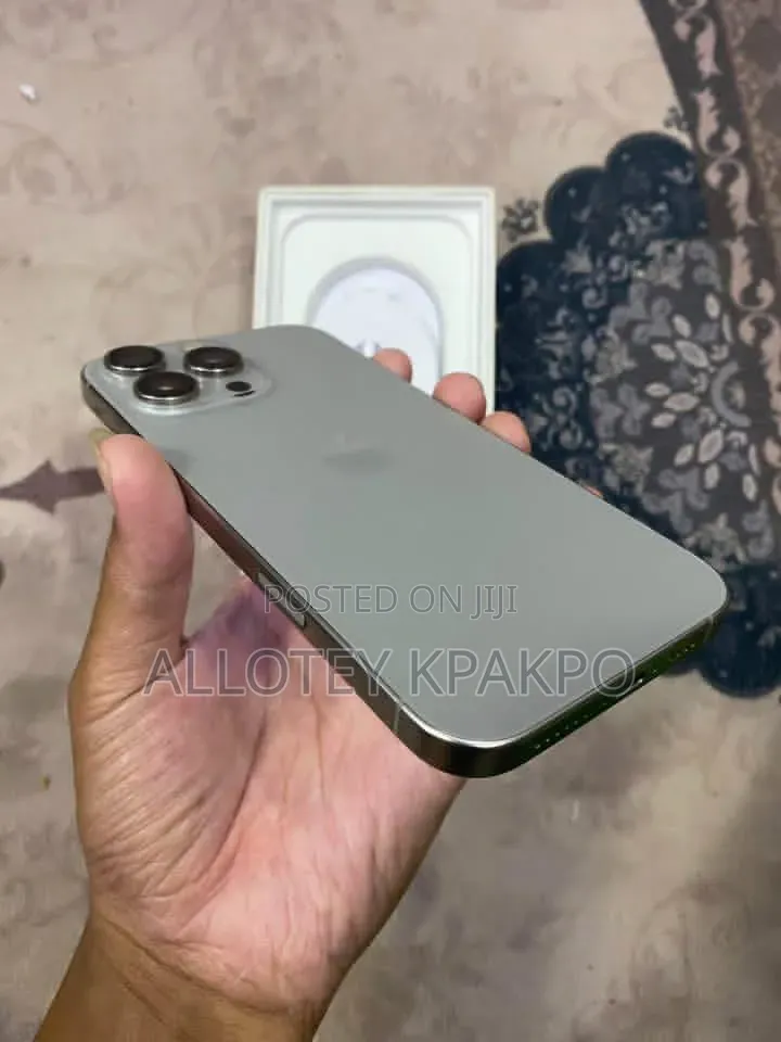 Apple iPhone 15 Pro Max 256 GB Silver
