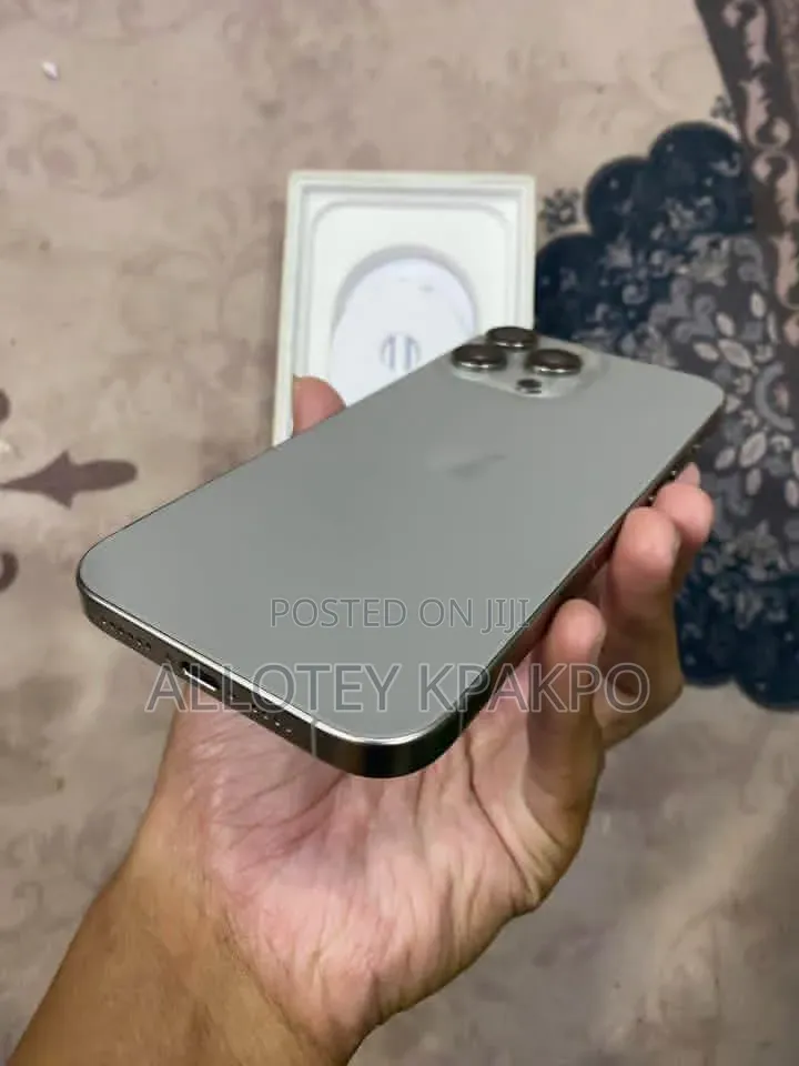 Apple iPhone 15 Pro Max 256 GB Silver