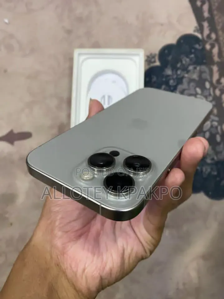 Apple iPhone 15 Pro Max 256 GB Silver