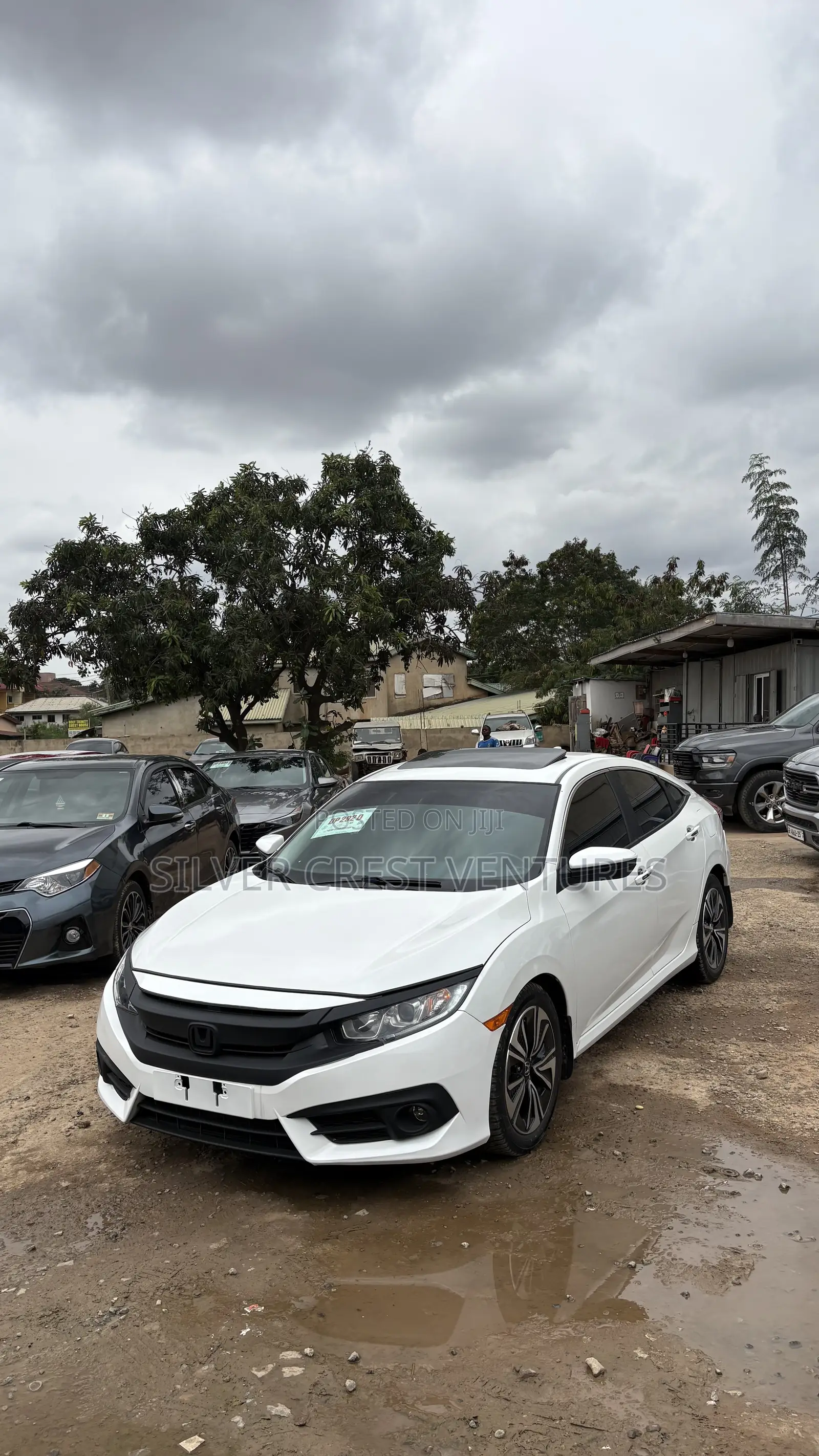 Honda Civic EX-L 4dr Sedan (1.5L 4cyl) 2016 White