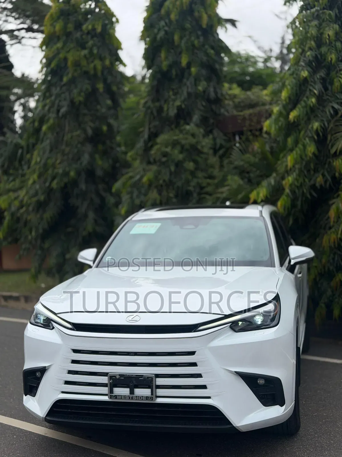 Lexus TX 2025 White