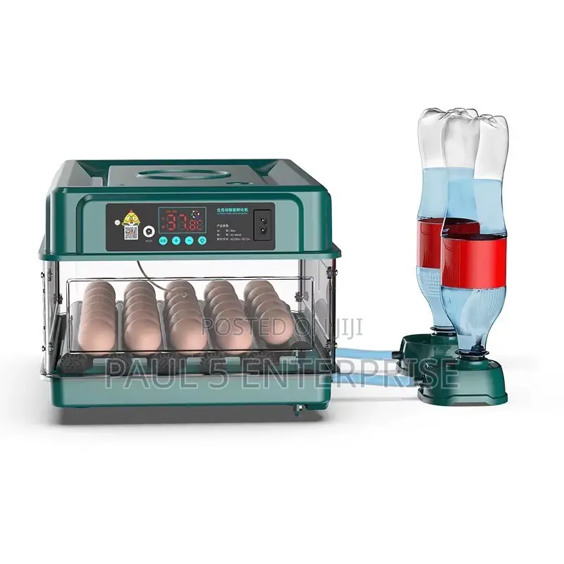 Wholesale and Retail 30eggs Incubator Fully Automated Dual Power