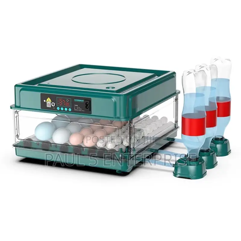 Wholesale and Retail 30eggs Incubator Fully Automated Dual Power