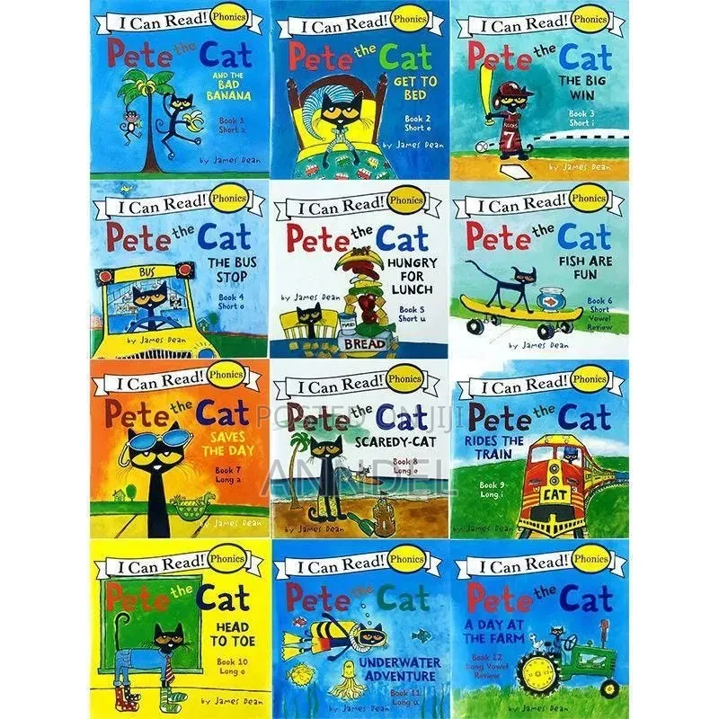 12pcs Phonics Series Book