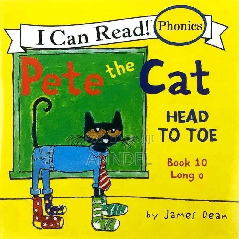12pcs Phonics Series Book
