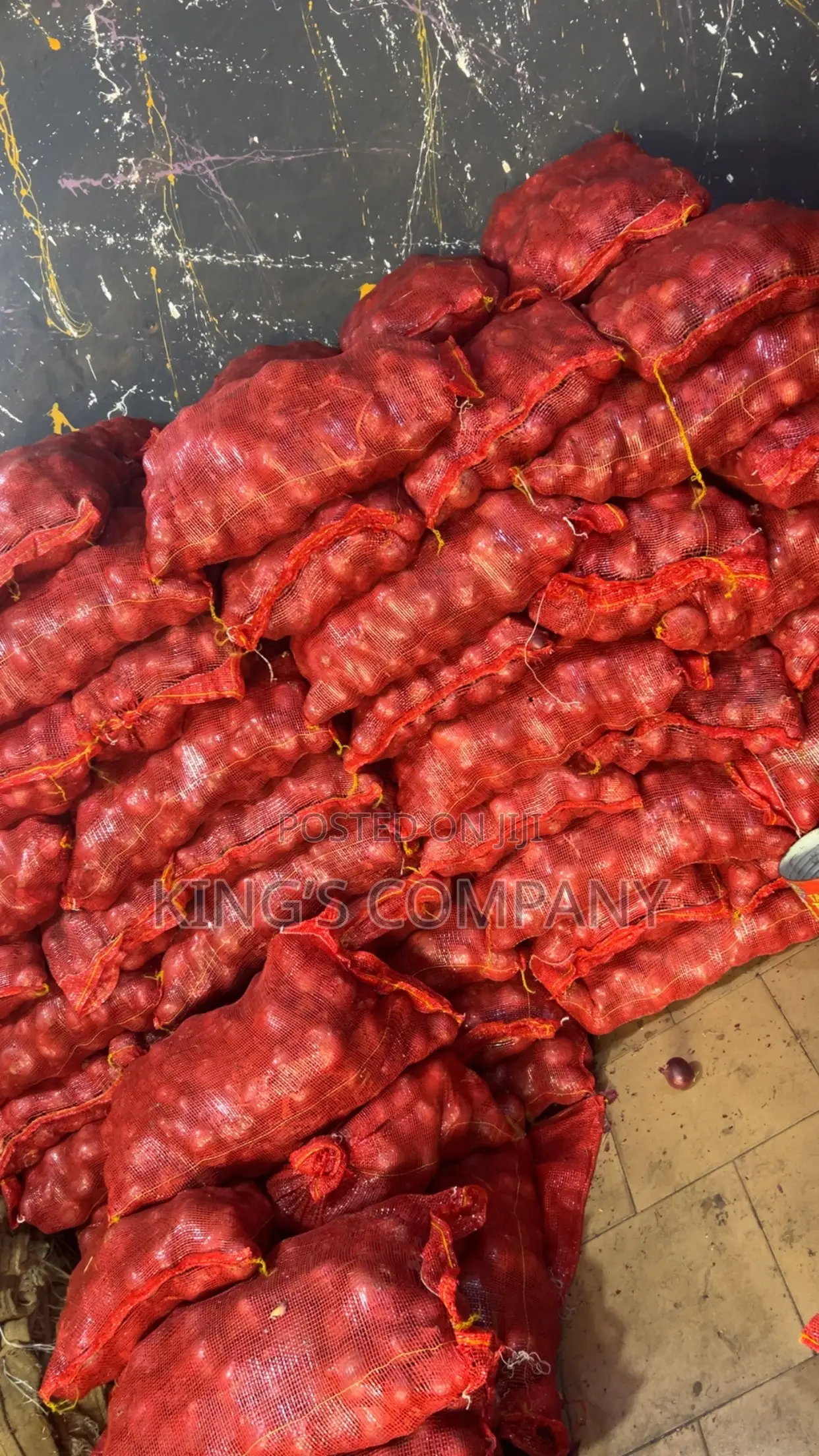 Onions (Affordable Prices)