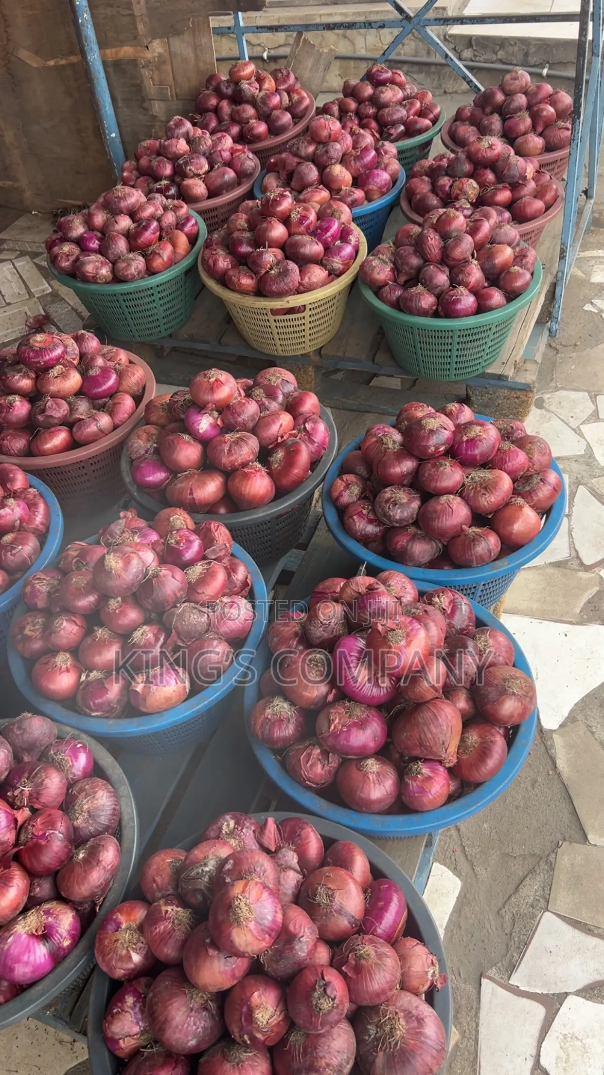 Onions (Affordable Prices)
