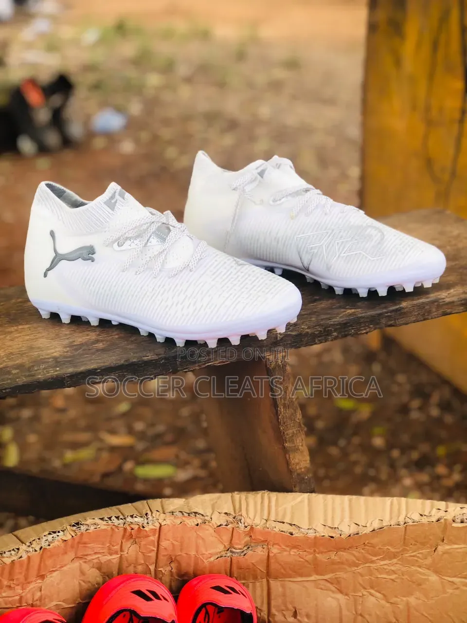 Soccer Shoes