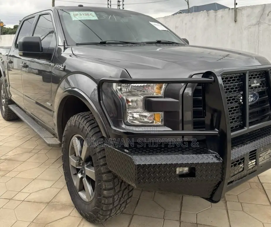 Ford F-150 XLT 4x4 SuperCab Styleside 8 ft. box 163 in. WB 2017 Gray