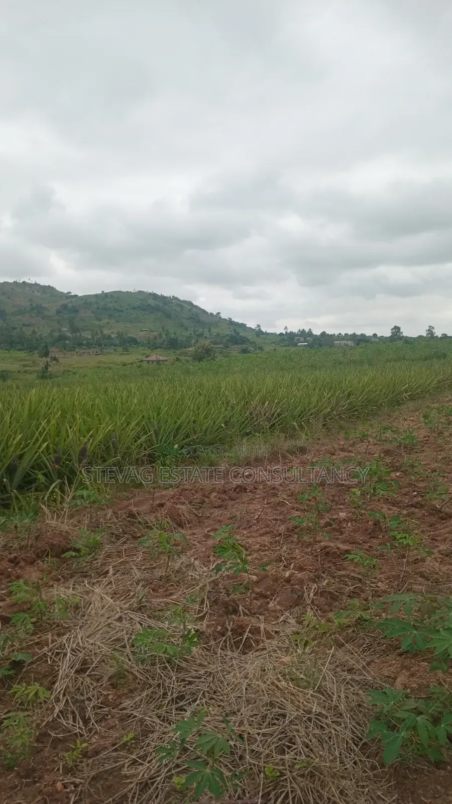 Land for Sale at Kasoa Kweikrom for Sale