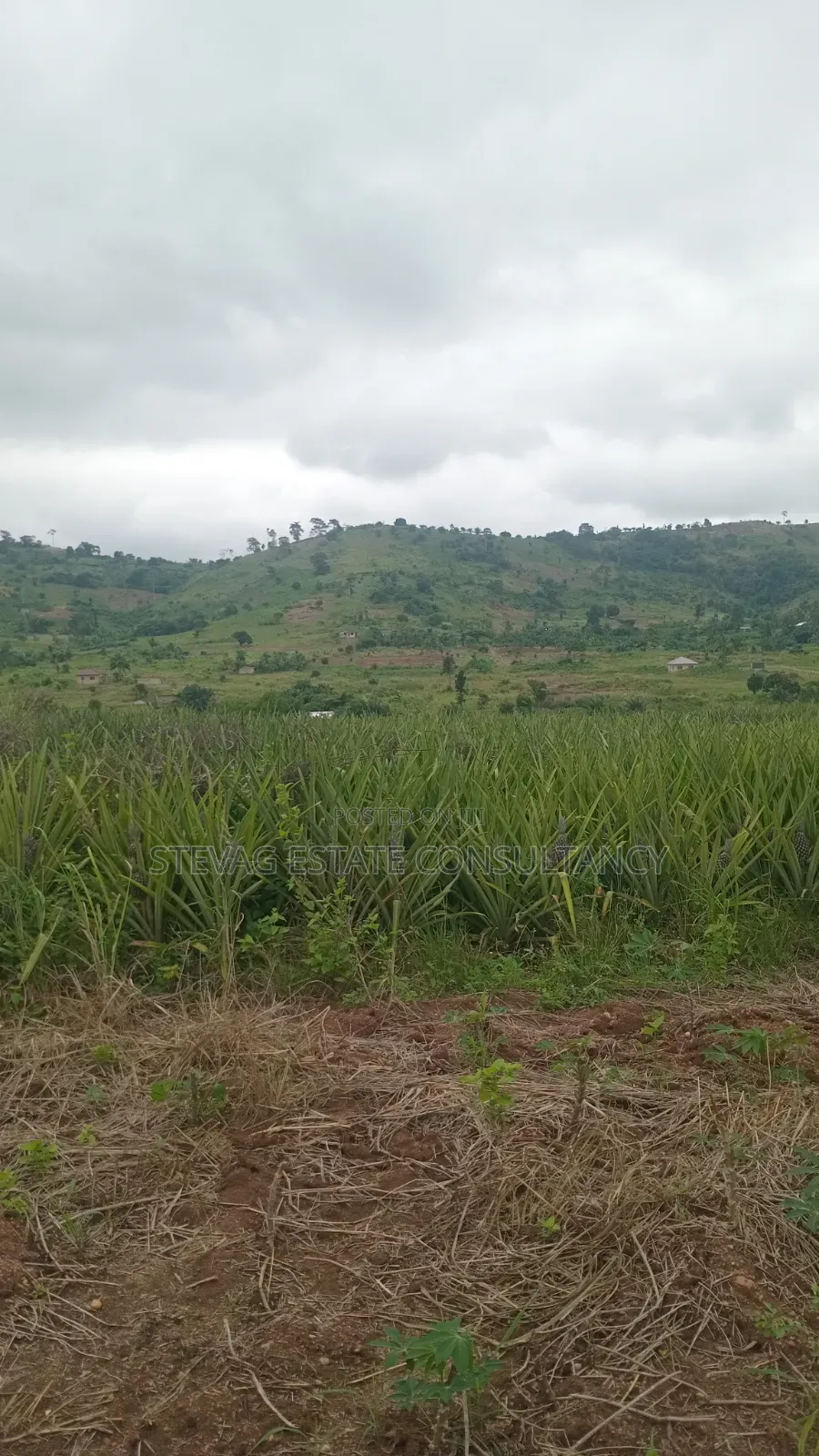Land for Sale at Kasoa Kweikrom for Sale
