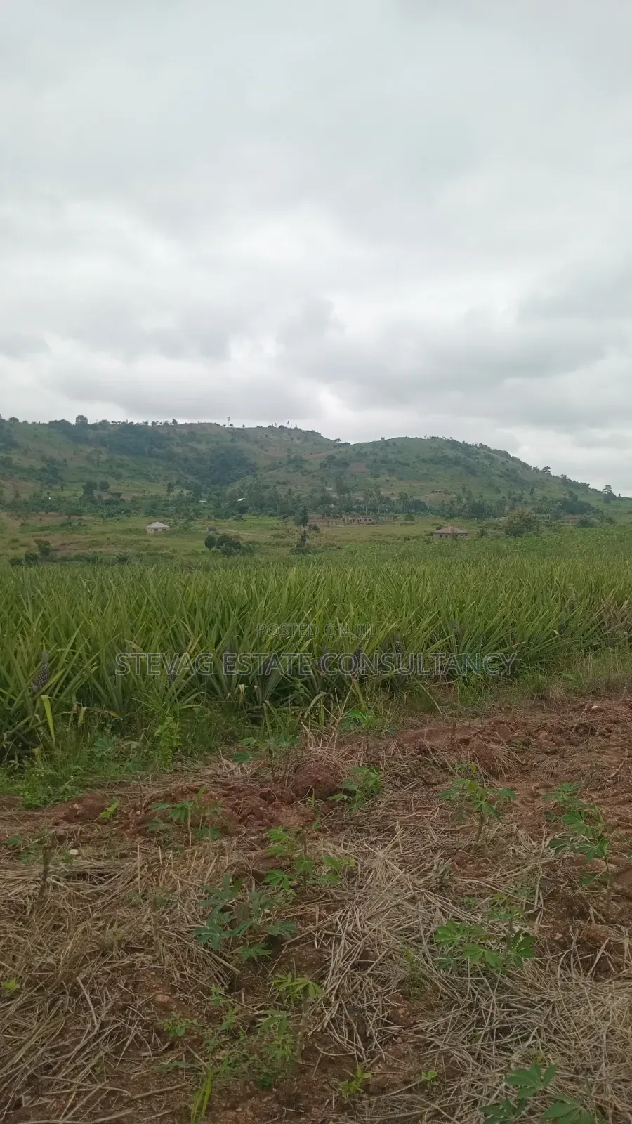 Land for Sale at Kasoa Kweikrom for Sale