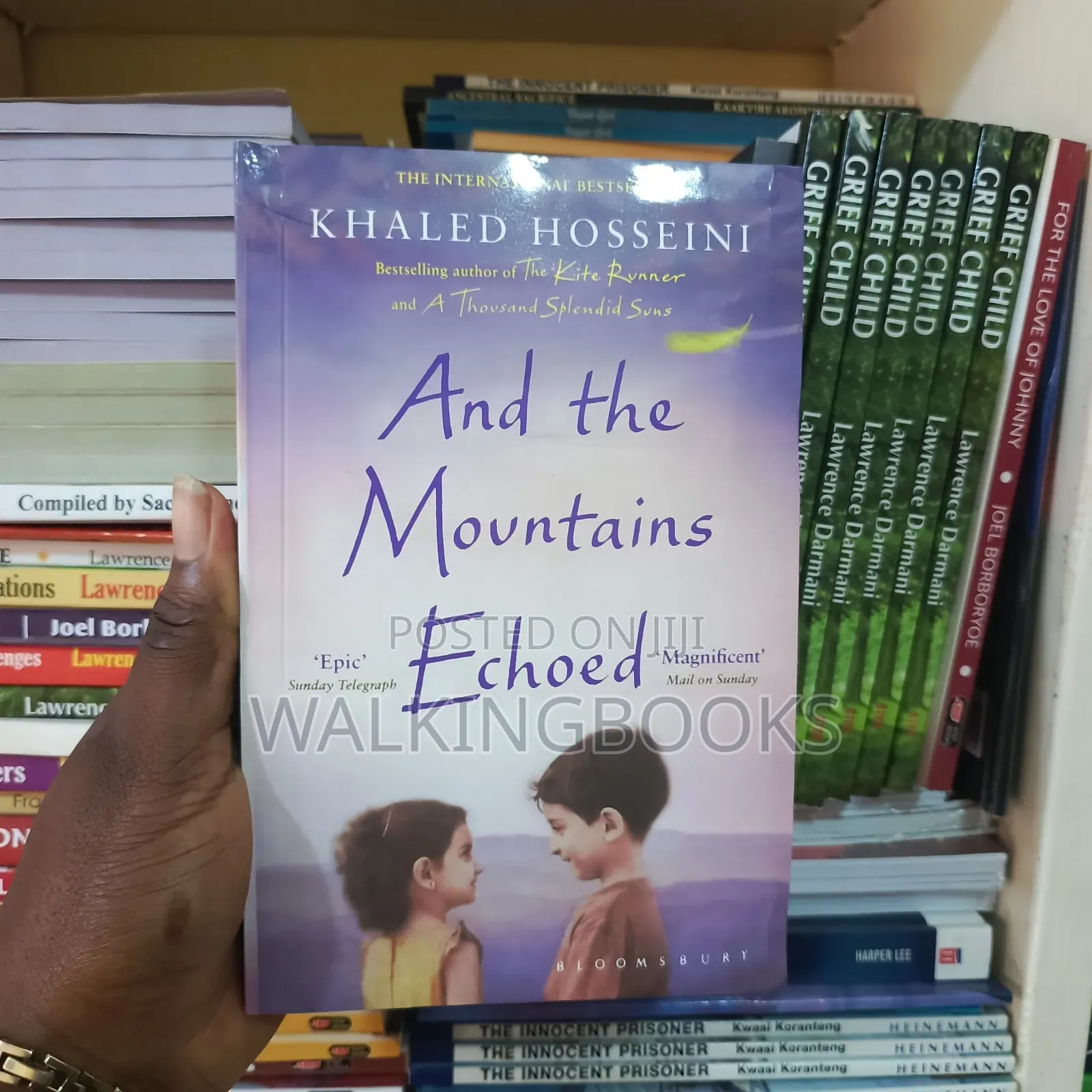 And the Mountains Echoed