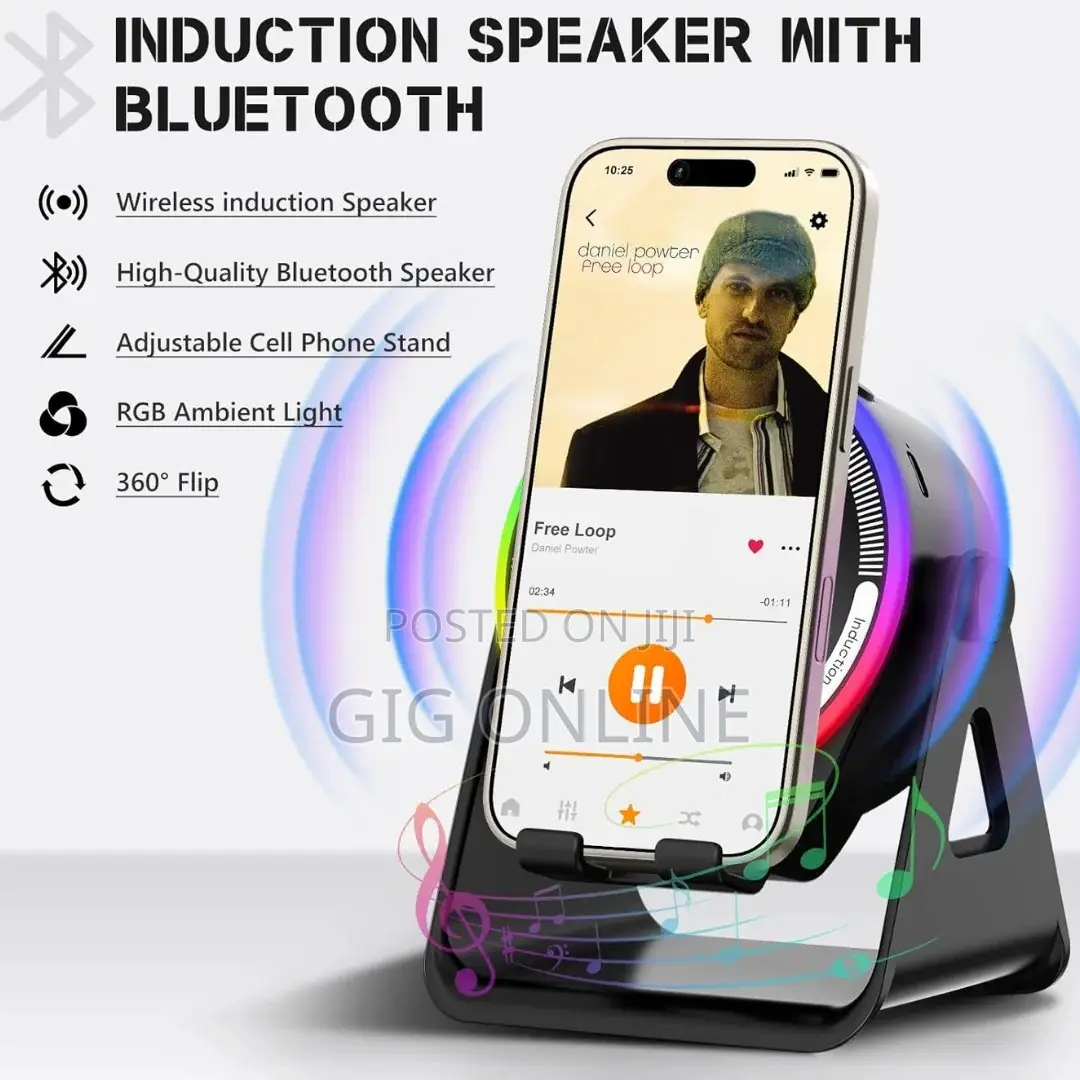 Wireless Induction Speaker