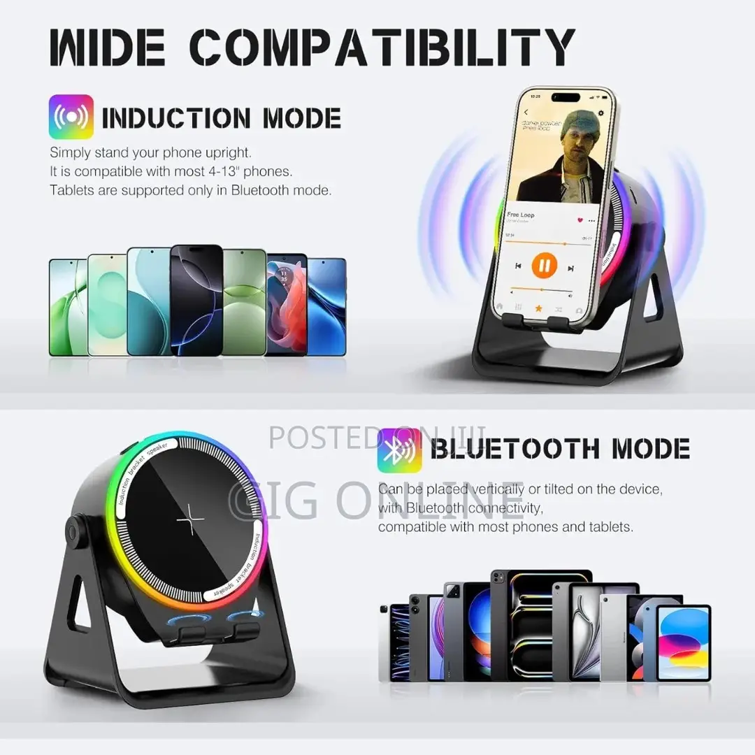 Wireless Induction Speaker
