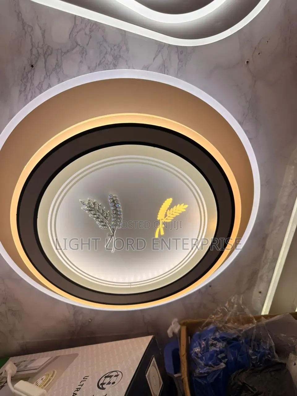 Shape Animated Series Ceiling Light 2color