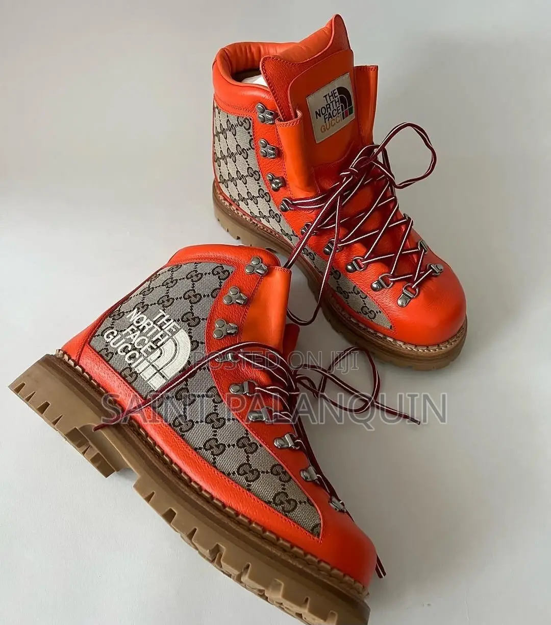 The Gucci X the North Face GG Canvas