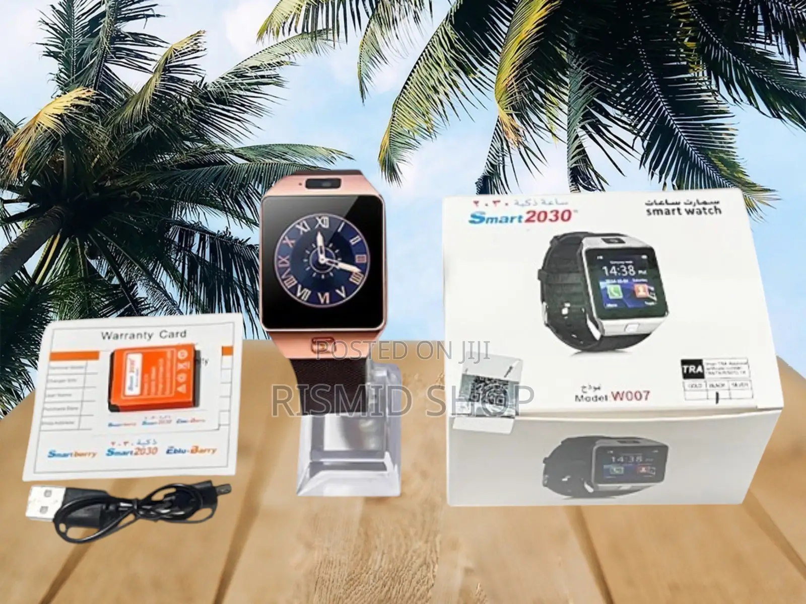 SMARTBARRY 2030 Smart Lifestyle Watch