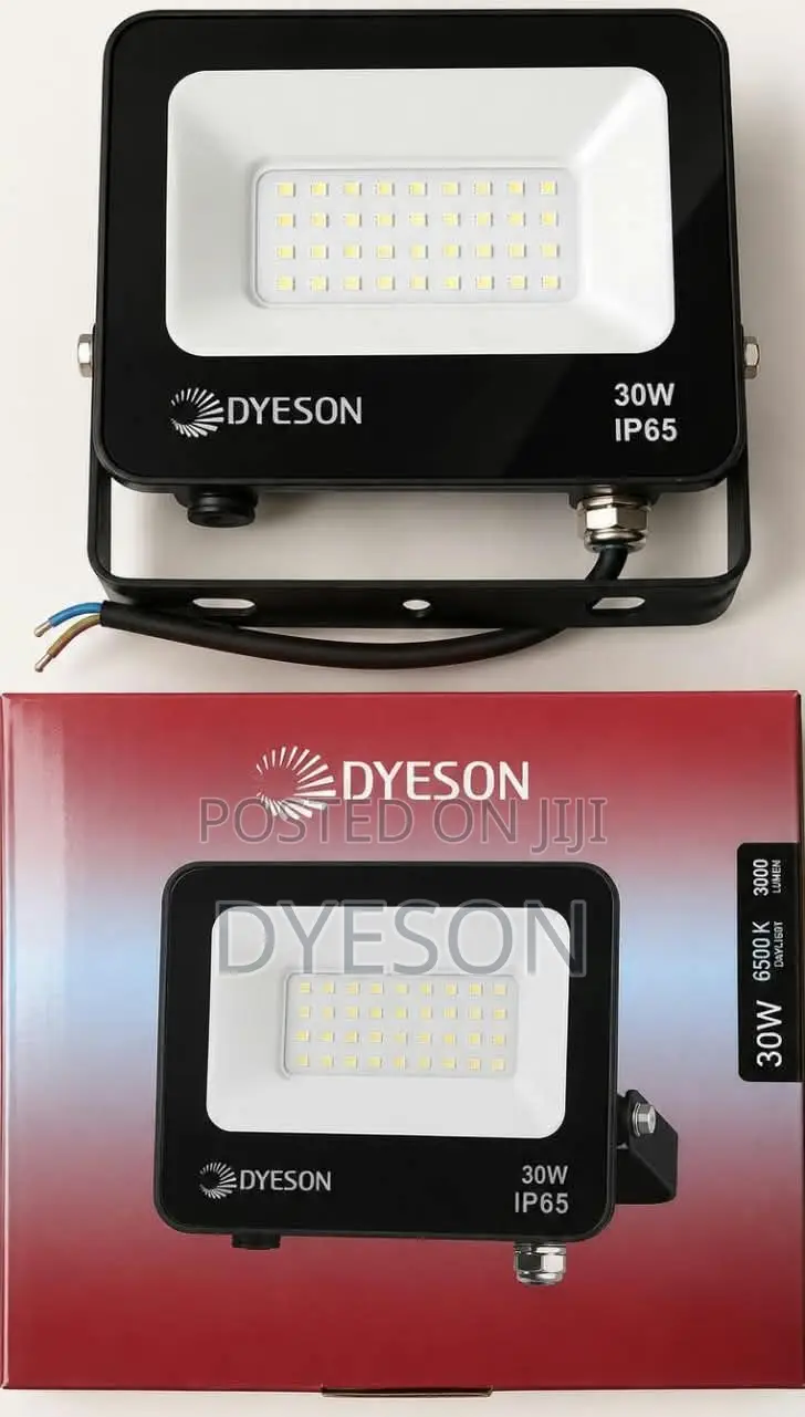 Dyeson Floodlight 30w
