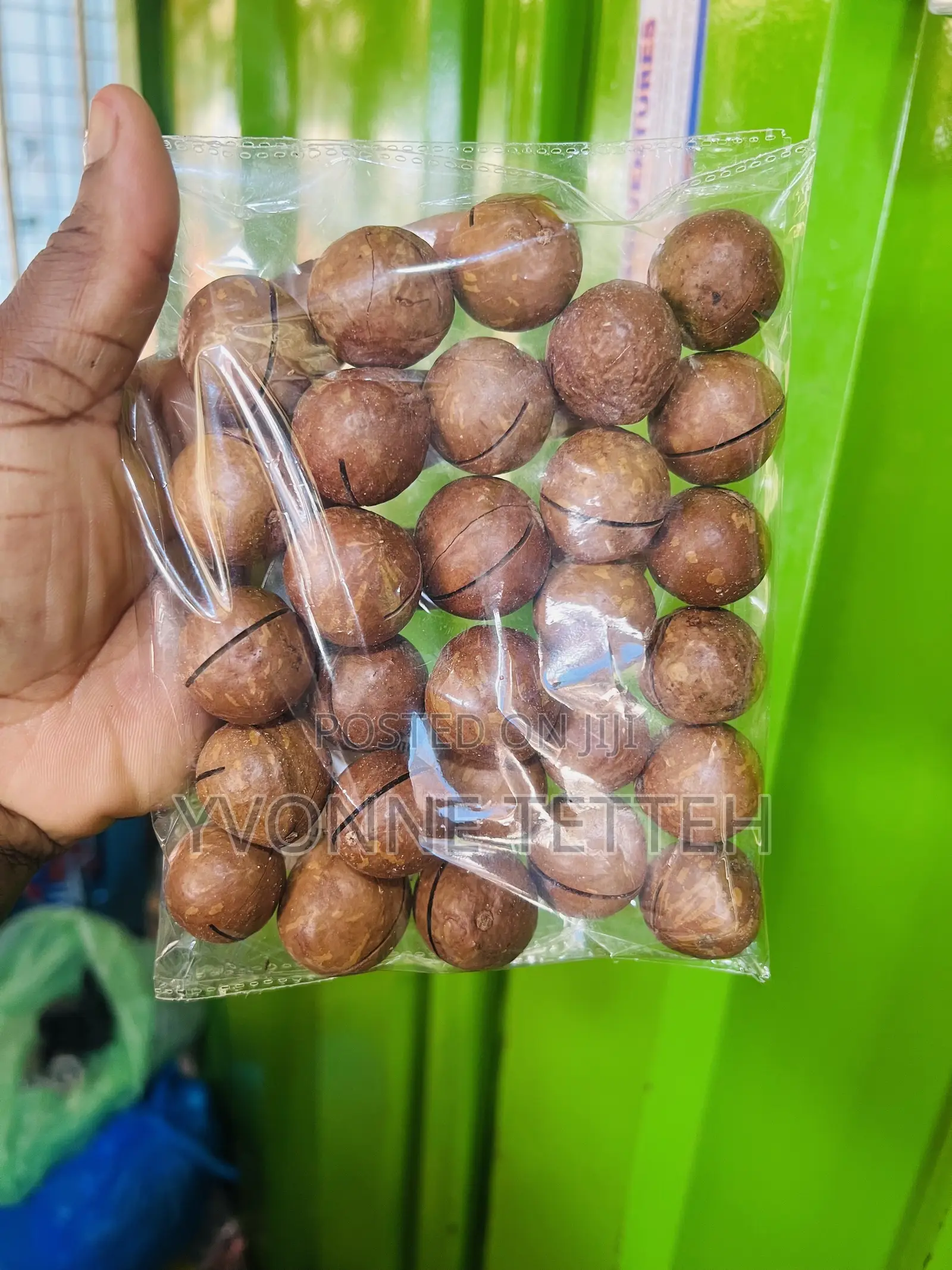 Macadamia Nuts in Shell 250g