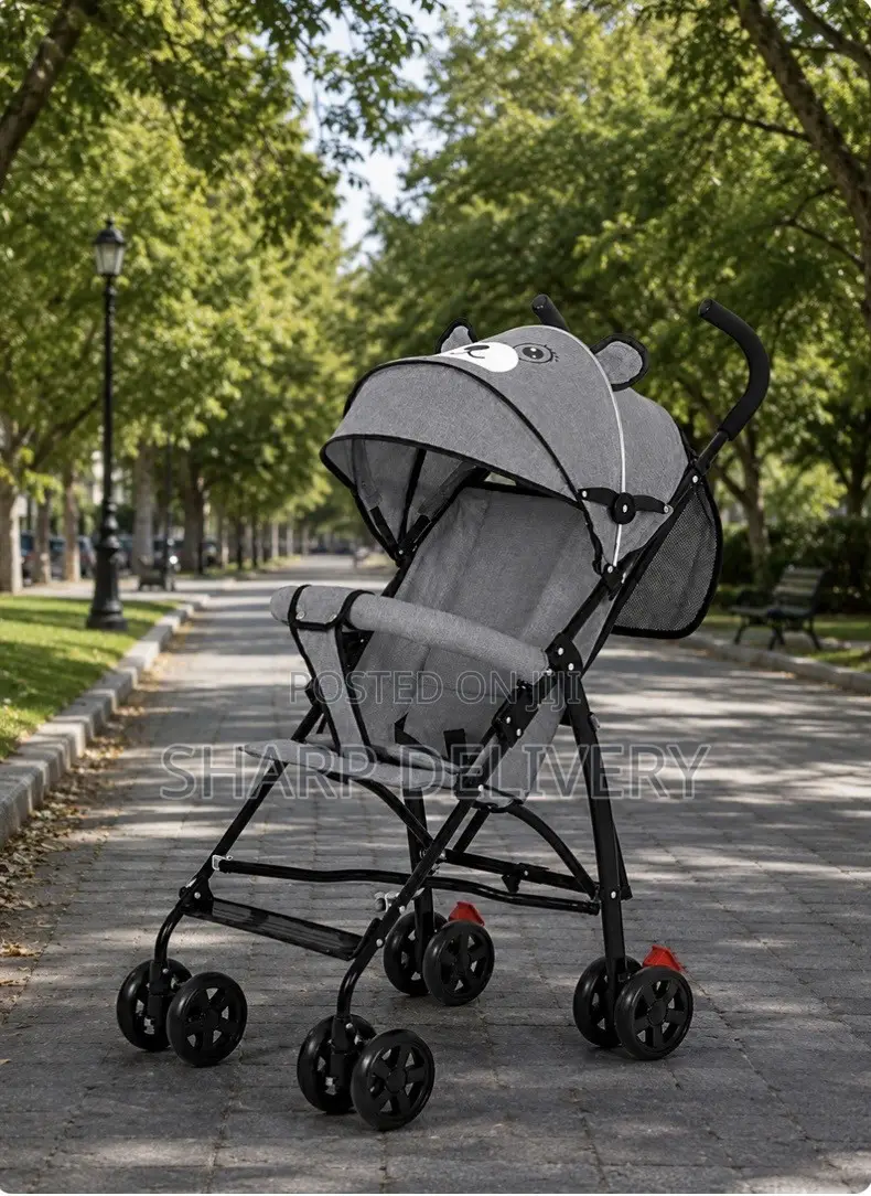 Extended Canopy Baby Stroller -