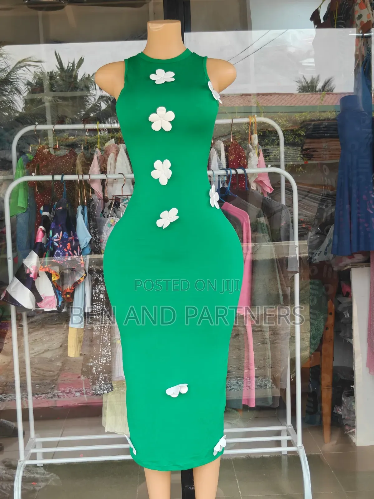 Ladies Dress