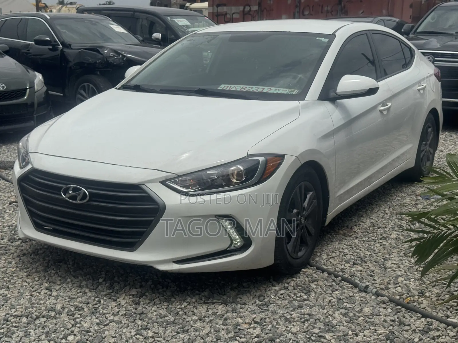 Hyundai Elantra Sport Sedan FWD (1.6L 4cyl 6M) 2017 White