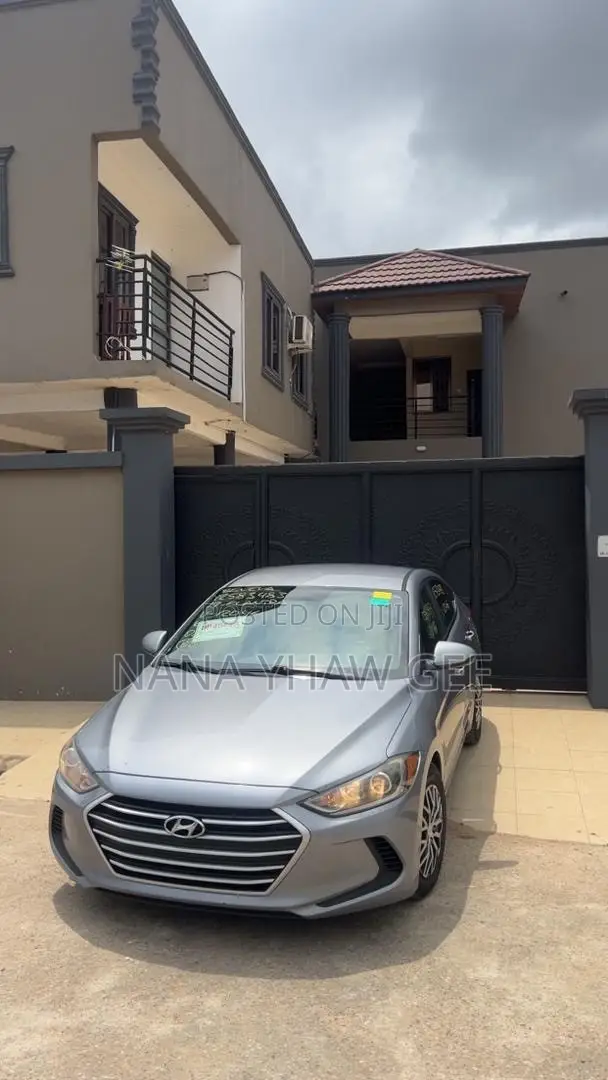 Hyundai Elantra ECO Sedan FWD (1.4L 4cyl 7A) 2017 Silver