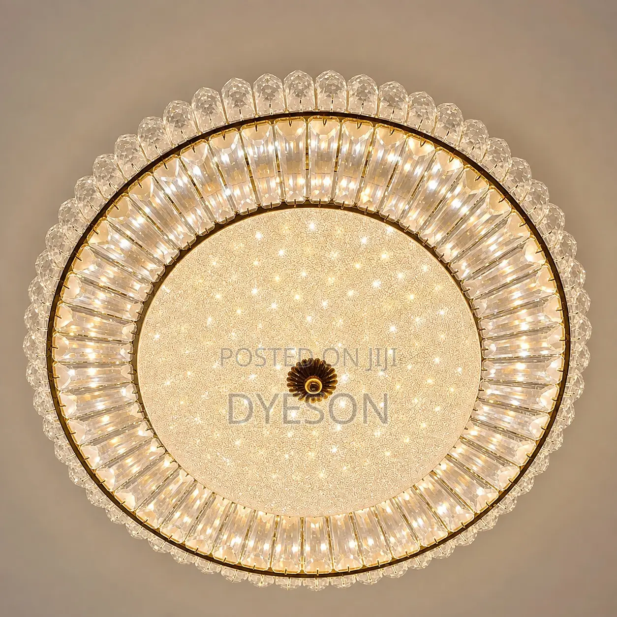 9507/500a Ceiling Light