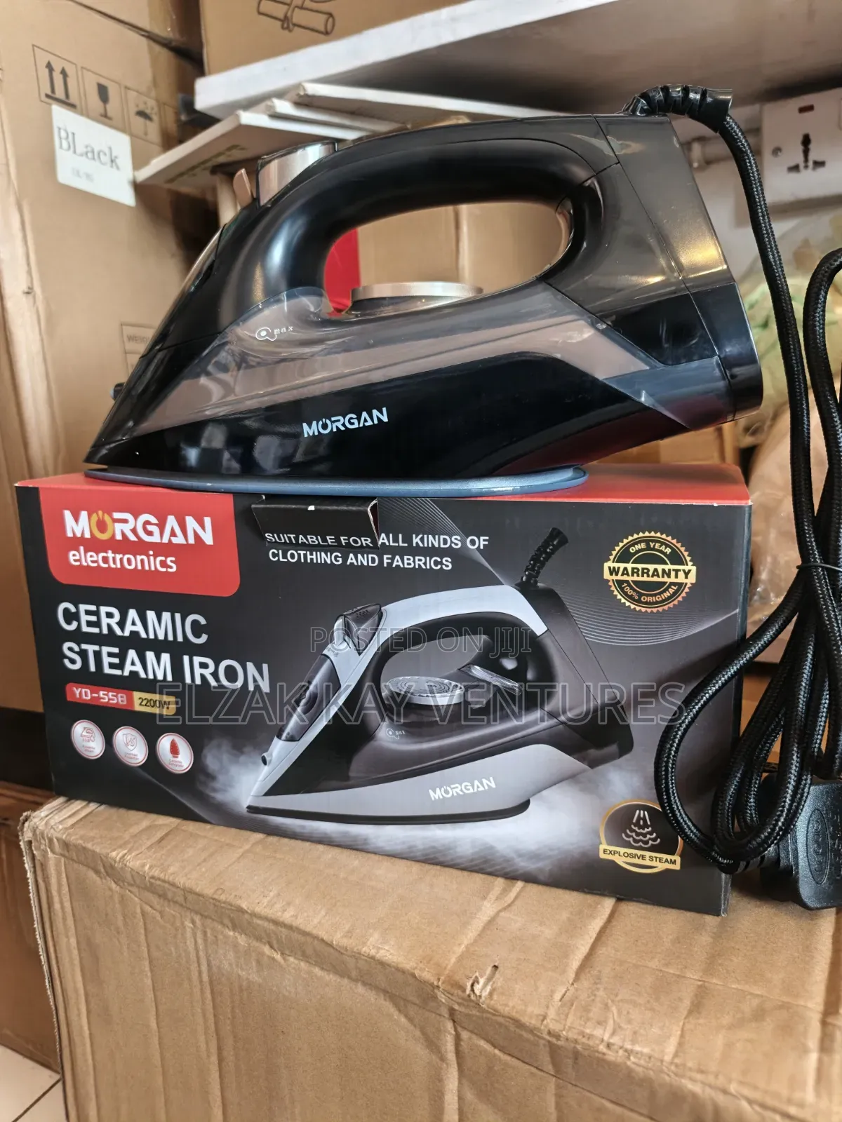 Ceramic Steam Iron