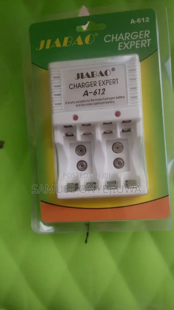 Alkaline Battery Charger