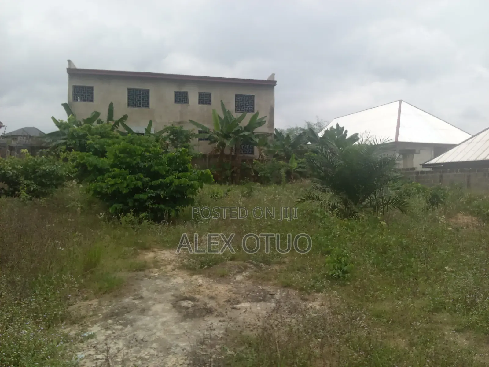 Plot of Land 100/120 Walled Nketia