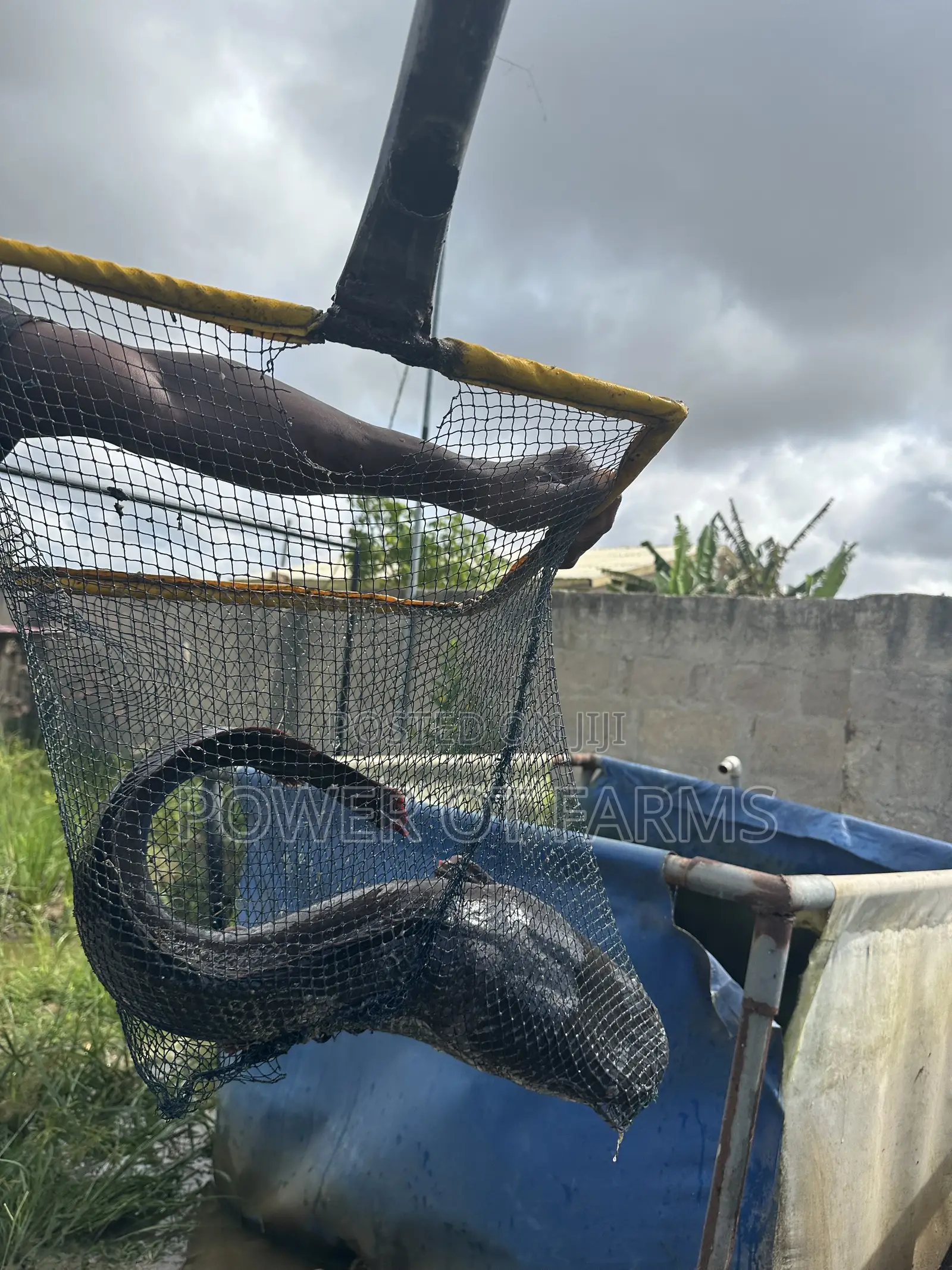 Hi Strength Scoop Net