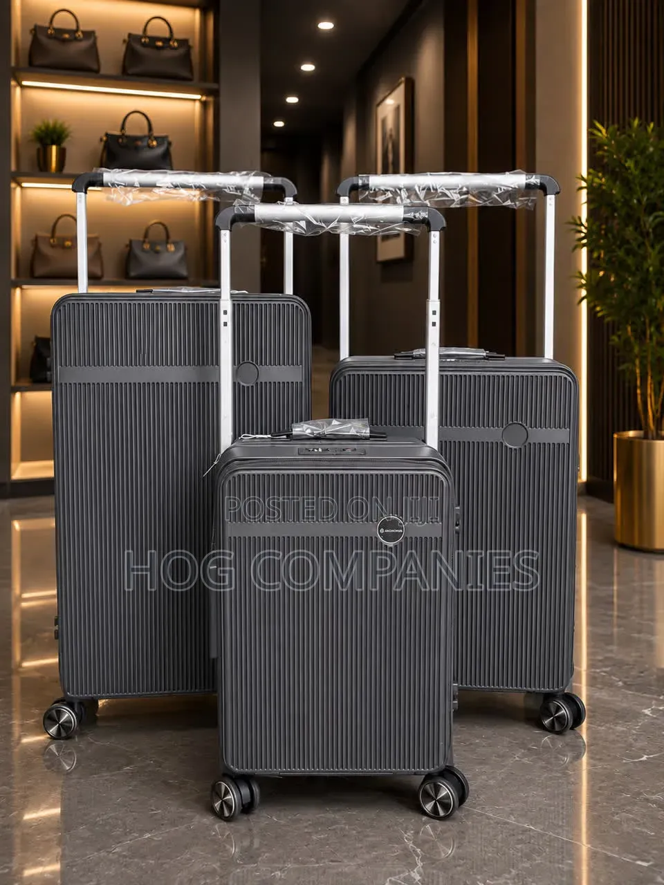 Luxurious 3 Set Suitcase Travel Bag - Fast Delivery in 2 Hours