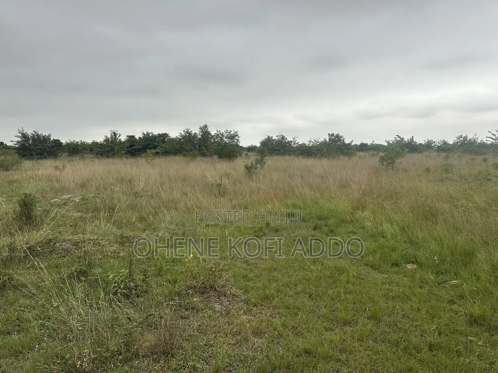 Registered Land With Land Title Certificate for Sale at Afienya
