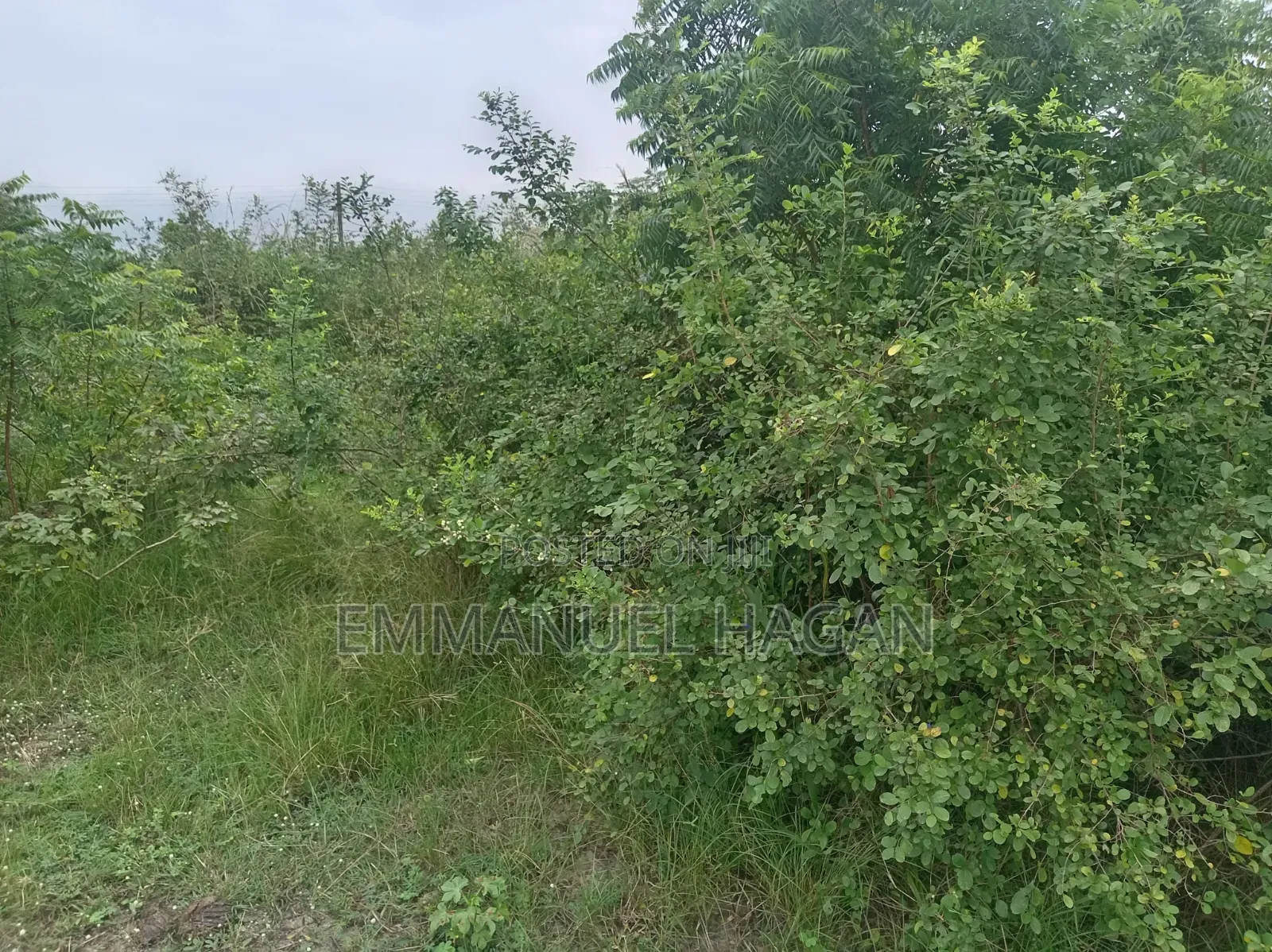 Half Plot of Land (80/50) at Shai Hills, Sun City Junction.