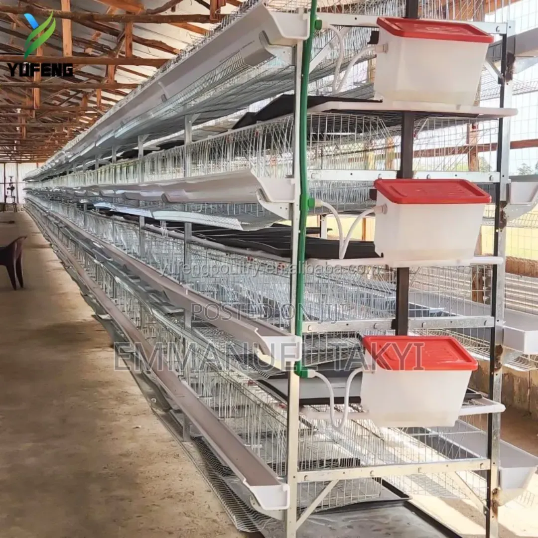 Chicken Cage H-Shape