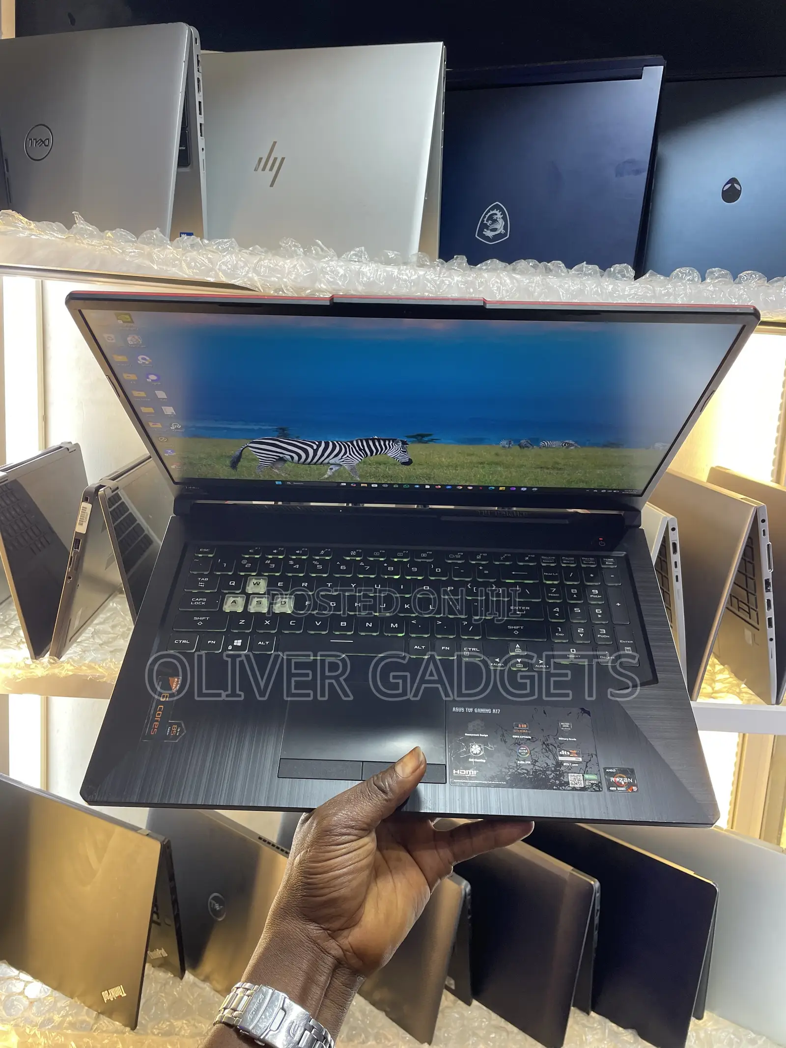Laptop Asus TUF Gaming A17 16GB AMD Ryzen 5 SSD 512GB