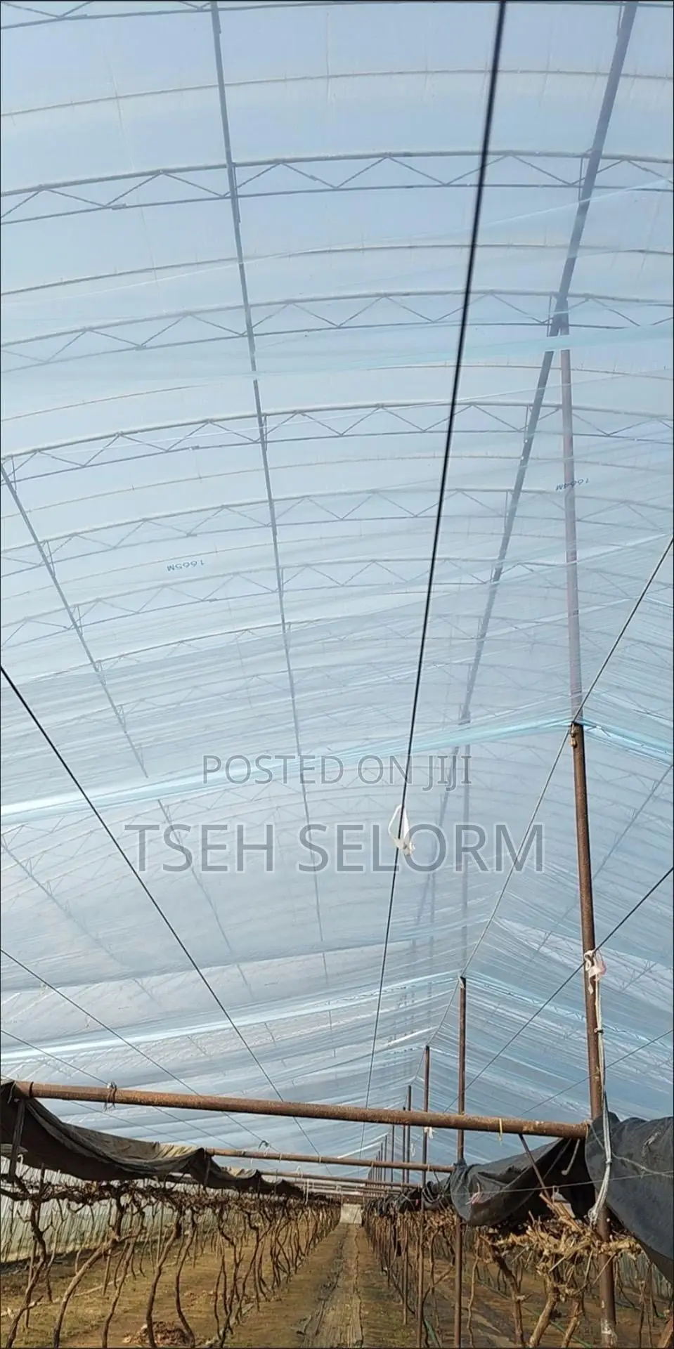 Greenhouse Plastic Film