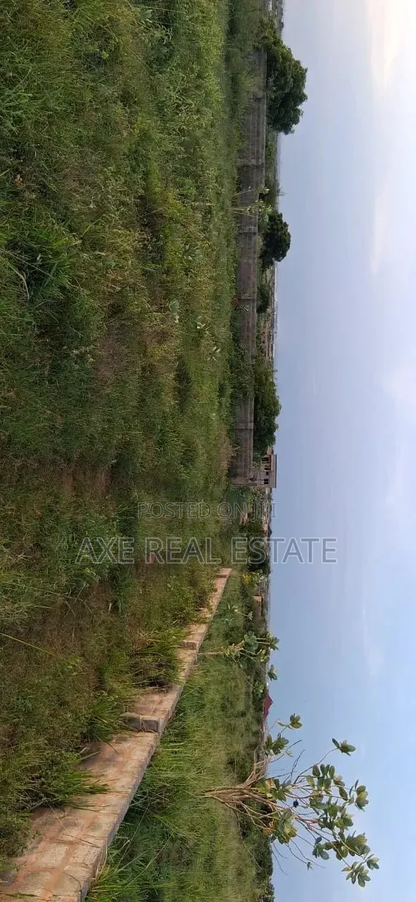 Promo Season!! Buy Court Stamped Estate Lands - Prampram