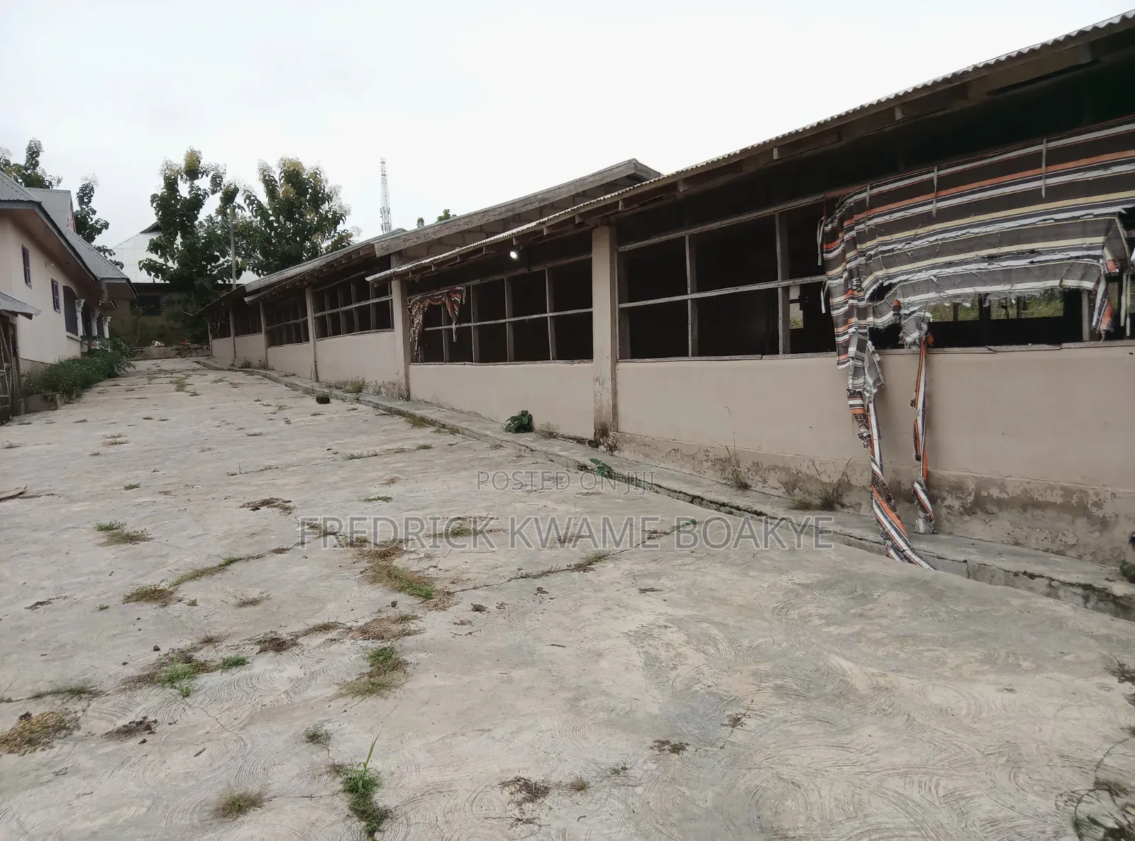 Pourtly Farm for Sale at Offinso Daaso