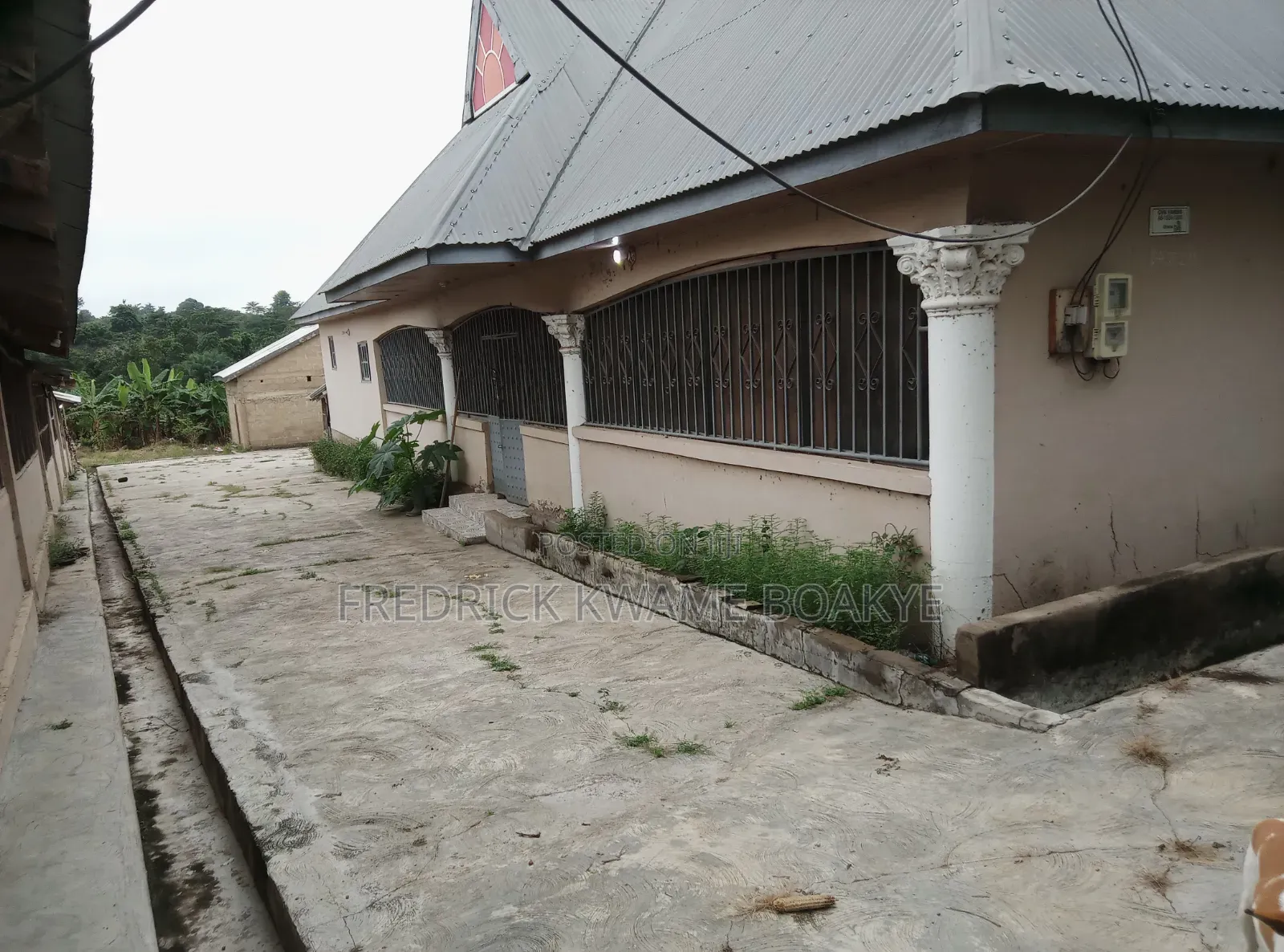 Pourtly Farm for Sale at Offinso Daaso