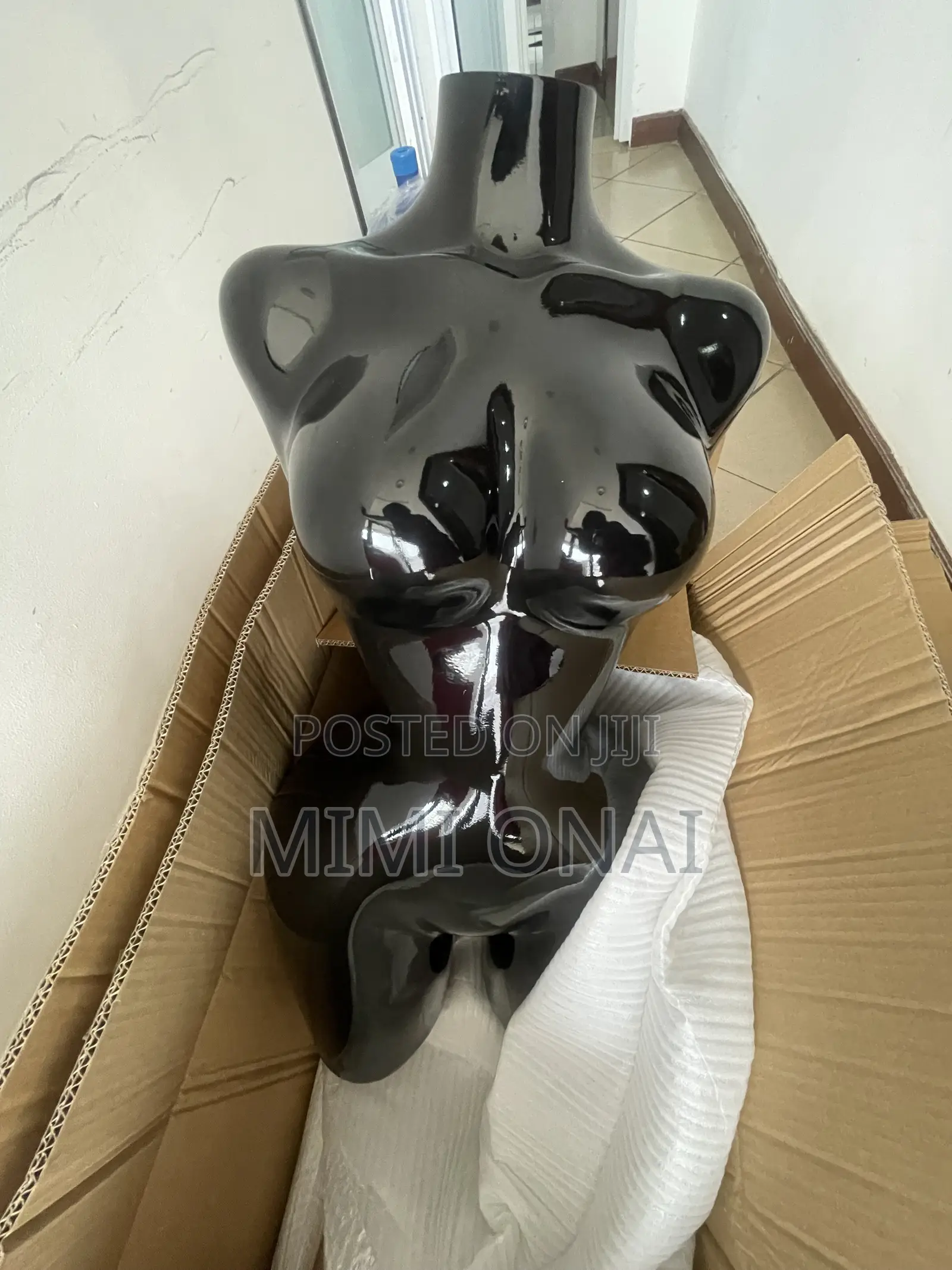 BBL Mannequin Available .