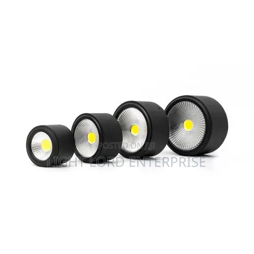 Longevity Spot Light Surface